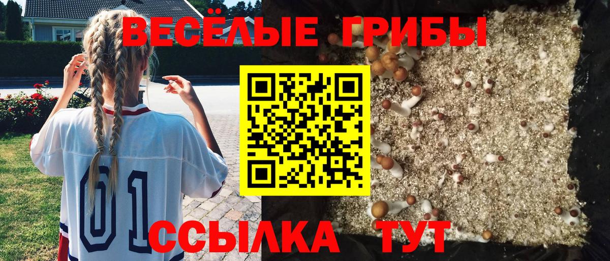 Галлюциногенные грибы мицелий Котовск