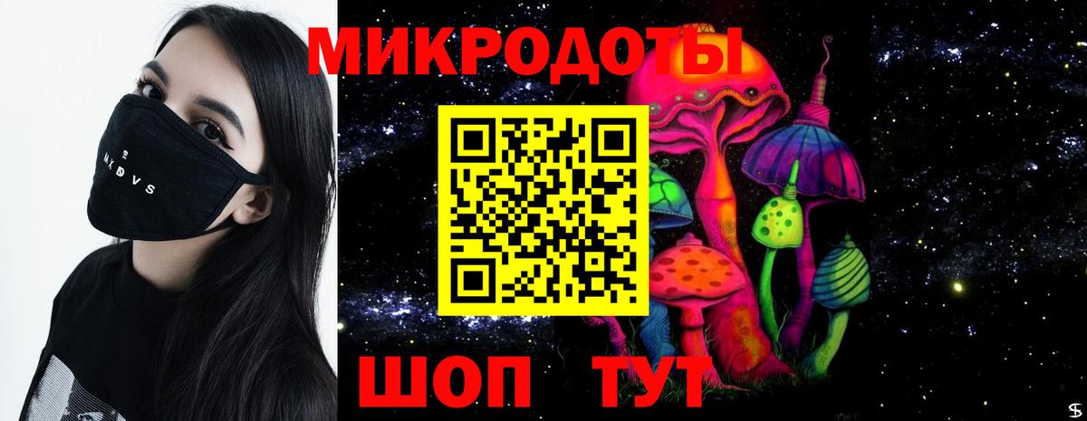 Галлюциногенные грибы прущие грибы  Псилоцибиновые грибы Psilocybine cubensis  Вход с VPN  Котовск 